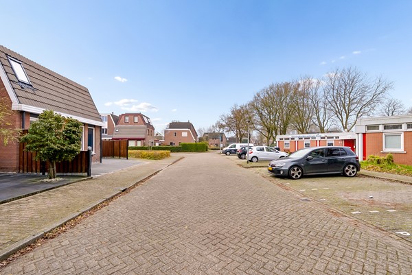 KOLKGRIEND 21-61.jpg